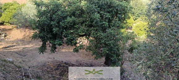 Земельный участок в Кампофеличе ди Рочелла, Италия № 375063 15