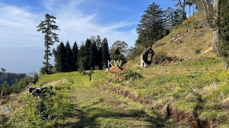 129730m² Land in Funchal, Portugal No. 65427