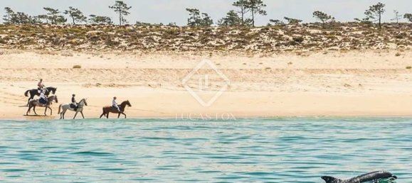 1725m² Land in Grandola, Portugal No. 110902 9