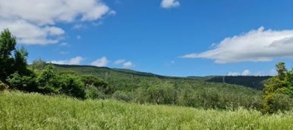 Casa T6 em San Gimignano, Italy N.º 195467 11