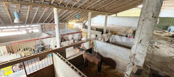 5-salle Maison à Pordenone, Italy No. 263556 11