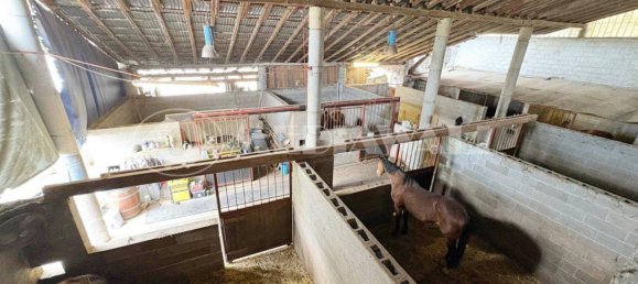 5-salle Maison à Pordenone, Italy No. 263556 10