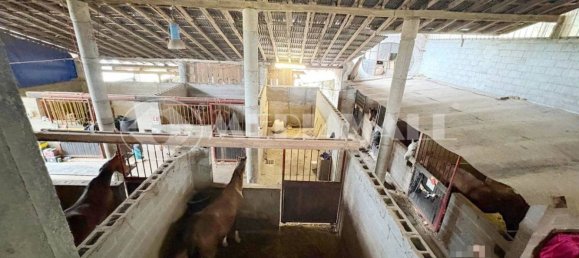 5-salle Maison à Pordenone, Italy No. 263556 12