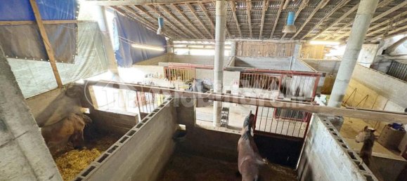 5-salle Maison à Pordenone, Italy No. 263556 13