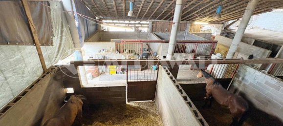 5-salle Maison à Pordenone, Italy No. 263556 4