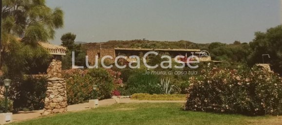 4-Zimmer Wohnung in Olbia, Italy, Nr. 134380 2