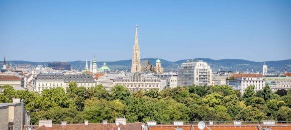 4 rooms Penthouse in Vienna, Austria No. 222861 8