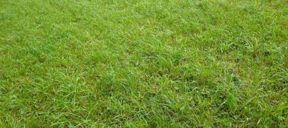 Terrain à Bavaria, Germany No. 291601 5