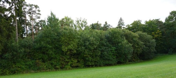 Terrain à Bavaria, Germany No. 291601 4