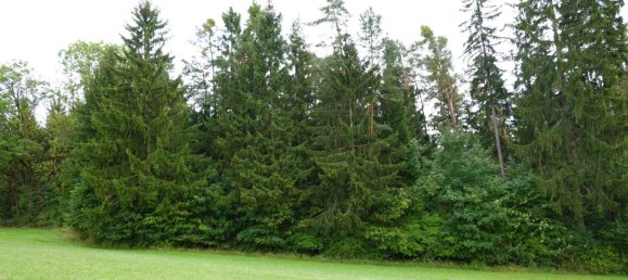 Terrain à Bavaria, Germany No. 291601 8