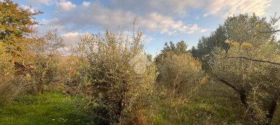 Villa de 2 divisões em Subiaco, Italy N.º 70500 12