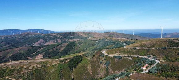 3 chambres Maison à Pessegueiro, Portugal No. 165869 43
