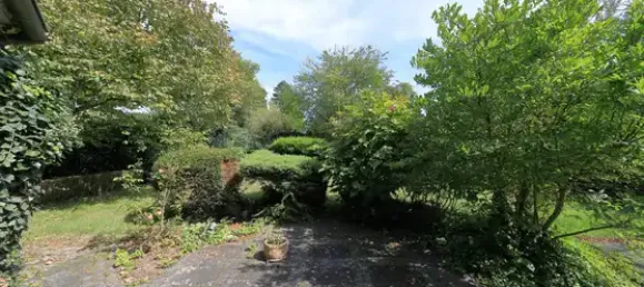 5-Zimmer Stadthaus in Cologne, Germany, Nr. 333579 23