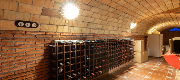 7 Schlafzimmer Villa in Valencia, Spain, Nr. 205498 25