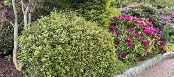 Moradia em banda de 9 divisões em Cuxhaven, Germany N.º 367681 6