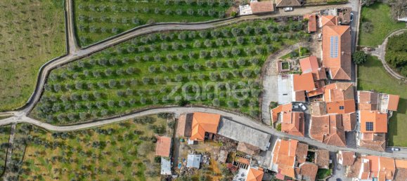 Casa de 10 dormitorios en Murca, Portugal No. 92172 44