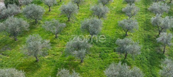 Casa de 10 dormitorios en Murca, Portugal No. 92172 48