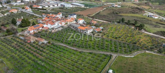 Casa de 10 dormitorios en Murca, Portugal No. 92172 42