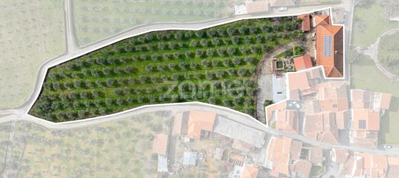 Casa de 10 dormitorios en Murca, Portugal No. 92172 3