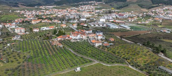 Casa de 10 dormitorios en Murca, Portugal No. 92172 43