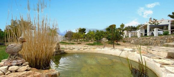 3 Schlafzimmer Haus in San Vicente del Raspeig, Spain, Nr. 164340 28