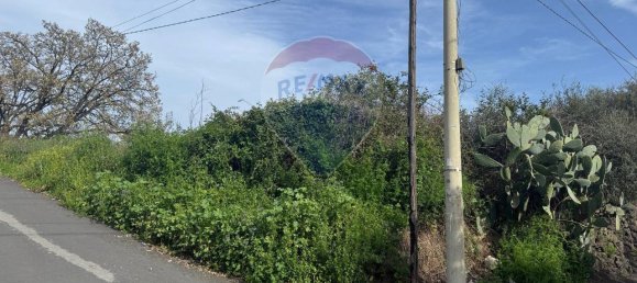 1 room Land in Valverde, Italy No. 136569 9