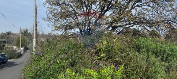 1 room Land in Valverde, Italy No. 136569 14