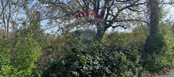 1 room Land in Valverde, Italy No. 136569 2