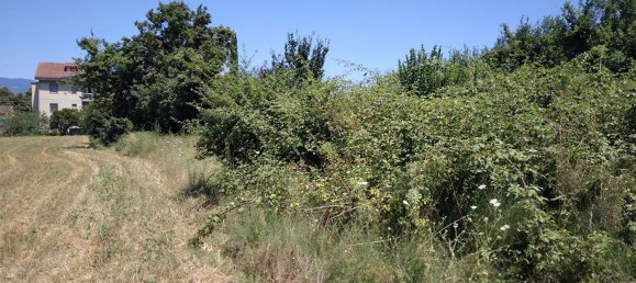 1489m² Land in Montevarchi, Italy No. 44994 2