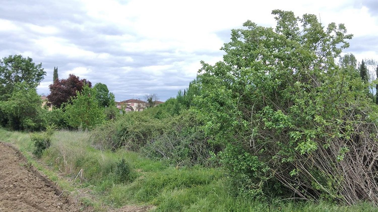 1489m² Land in Montevarchi, Italy No. 44994