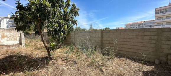 9 bedrooms House in Sao Bras de Alportel, Portugal No. 37051 7