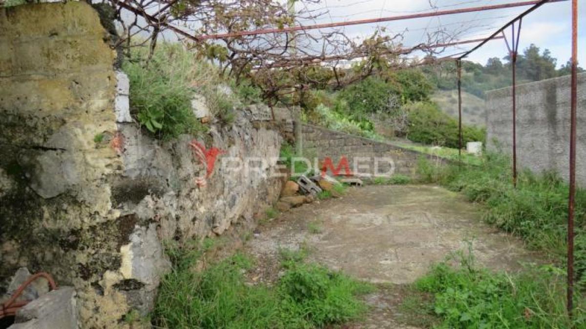 Studio à Funchal, Portugal No. 420