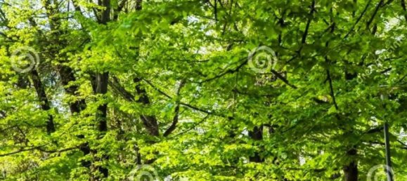 4 bedrooms Apartment in Pisa, Italy No. 340809 6