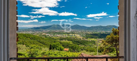 14 chambres Villa à Lucca, Italy No. 67473 24