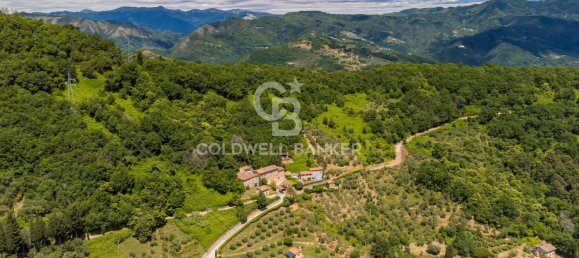 14 chambres Villa à Lucca, Italy No. 67473 8