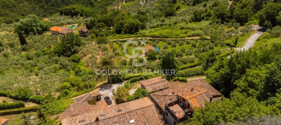 14 chambres Villa à Lucca, Italy No. 67473 6