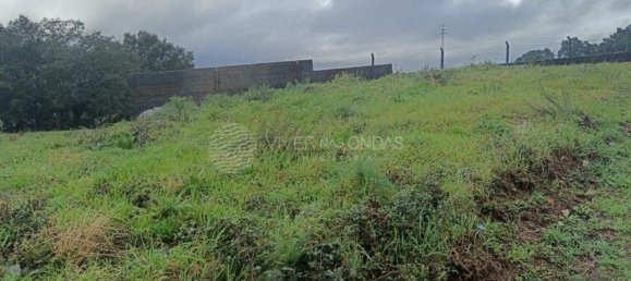 33000m² Land in Santo Tirso, Portugal No. 51545 9