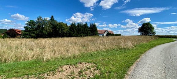  قطعة أرض في Zwettl-Niederosterreich, Austria رقم 118631 2