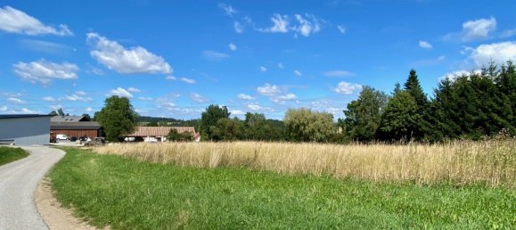  قطعة أرض في Zwettl-Niederosterreich, Austria رقم 118631 5