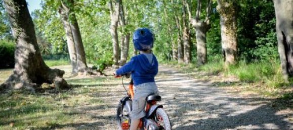 2 bedrooms Apartment in Azille, France No. 1890 23