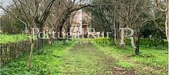 20 bedrooms House in Abrantes, Portugal No. 29957 6