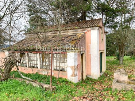 20 bedrooms House in Abrantes, Portugal No. 29957