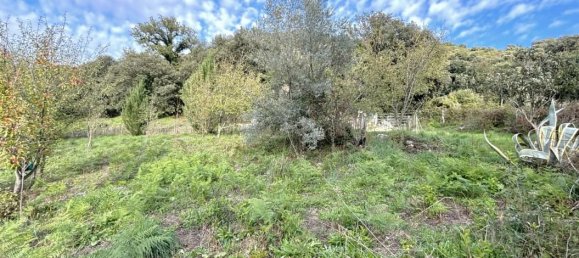800m² Land in Forciolo, France No. 234018 3