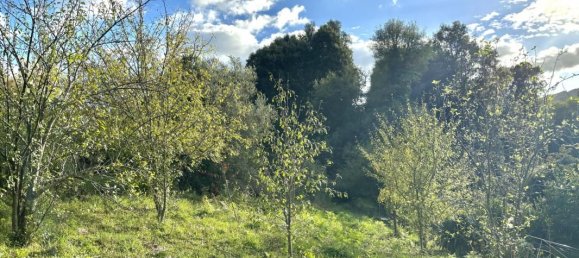 800m² Land in Forciolo, France No. 234018 2
