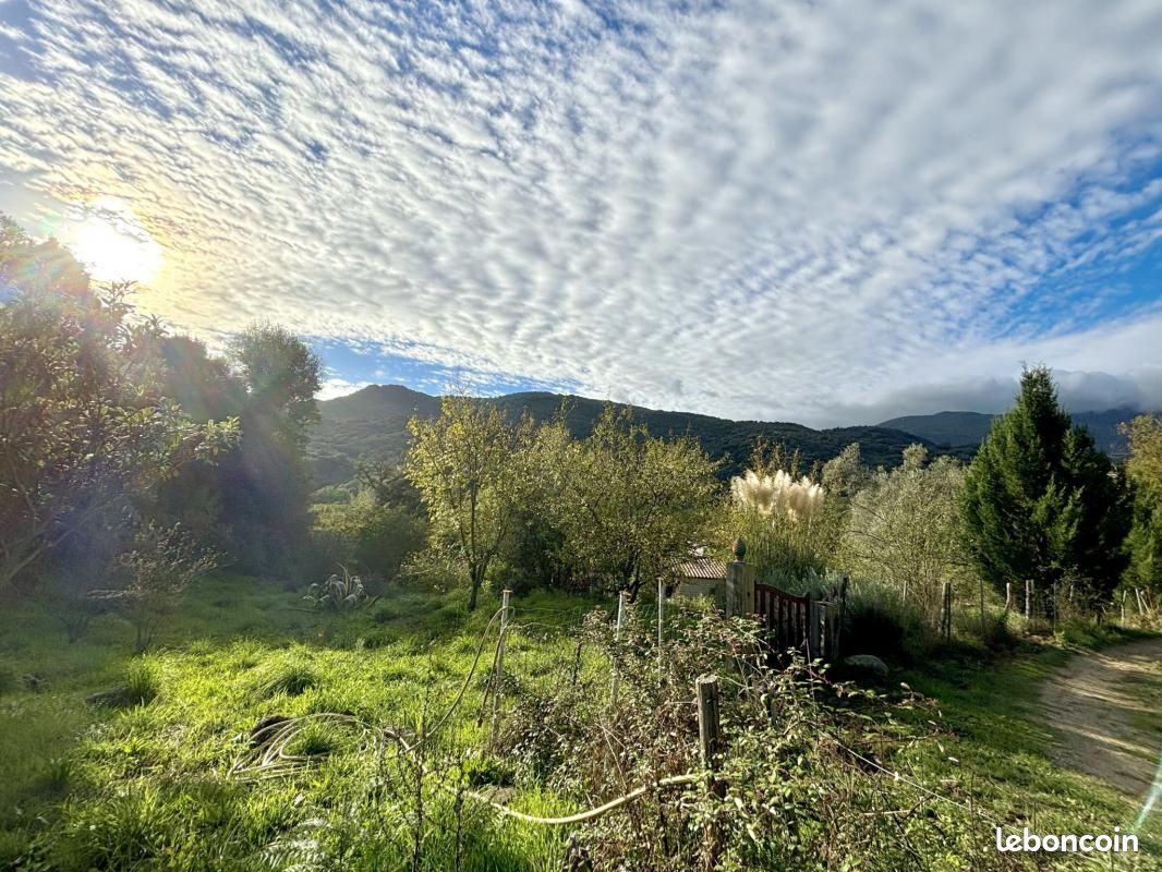 800m² Land in Forciolo, France No. 234018