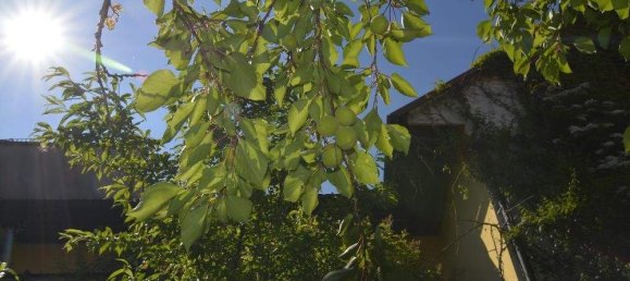 3 rooms Apartment in Bad Radkersburg, Austria No. 123033 11