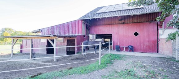 Granja de 13 habitaciónes en Emmendingen, Germany No. 79325 28