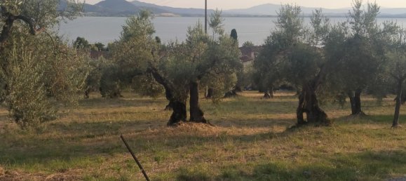 Grundstück in Magione, Italy 1000m², Nr. 179329 12