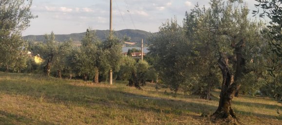 Grundstück in Magione, Italy 1000m², Nr. 179329 4