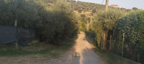 Grundstück in Magione, Italy 1000m², Nr. 179329 11